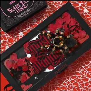 Plouise mystic moonlight eyeshadow palette BadB energy lip stain limited edition